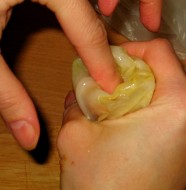 IMG_5232 IMG_5232