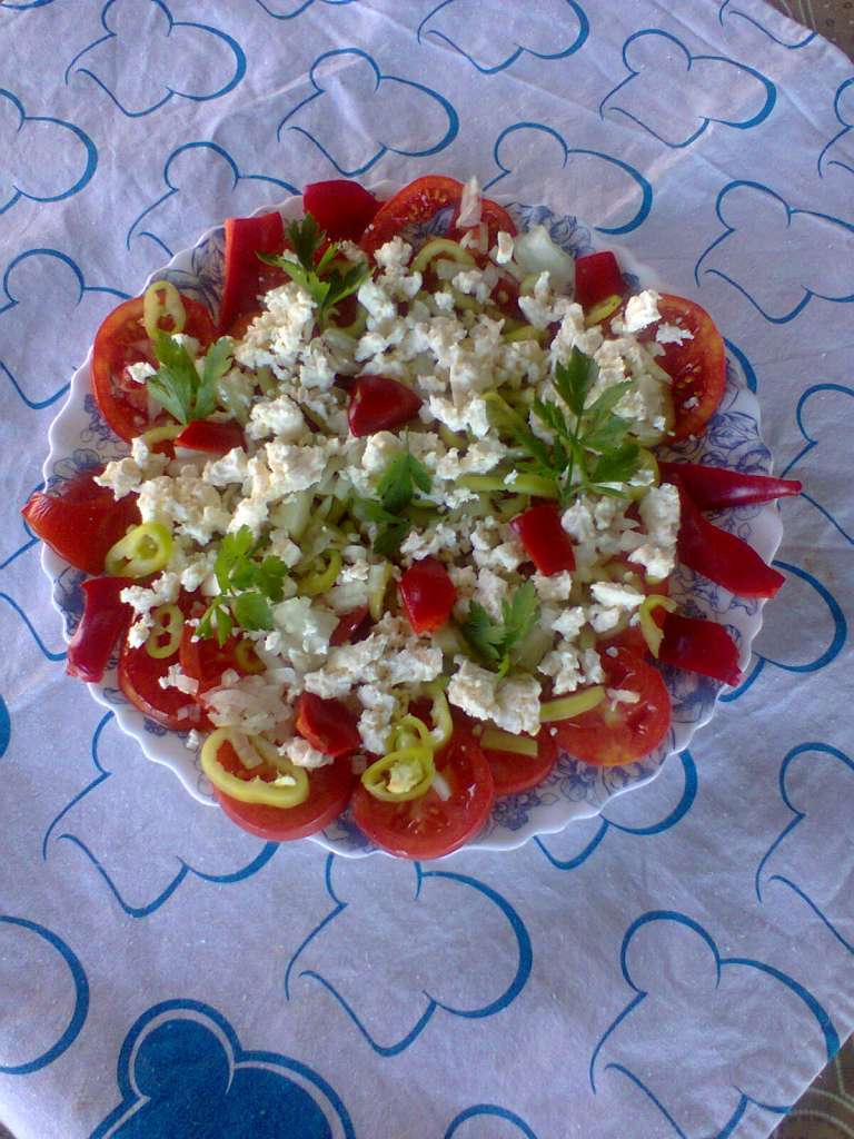 Šarena salata