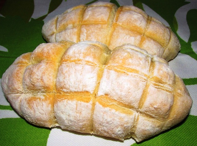 Panini Coccodrillo