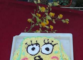 Sundjer Bob torta